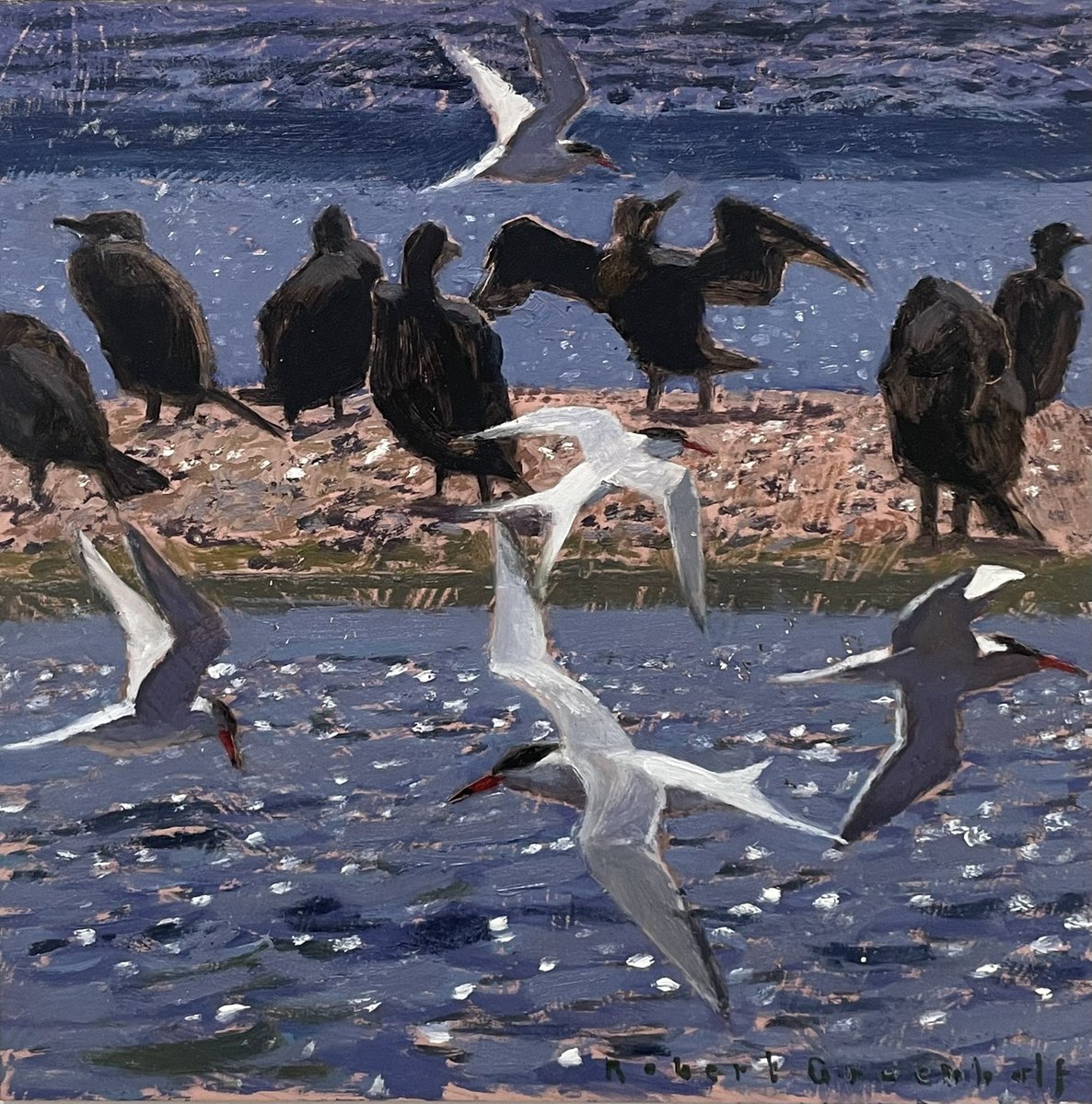 ryeartists's tweet photo. A beautiful selection bird paintings in oil hang in our upper gallery in our Summer Exhibition. These are by RSA member Robert Greenhalf. From Moorhens to Herons, Terns to Cormorants.
#ryeartists #robertgreenhalf #birdpainting https://t.co/2hwyqzPfSl