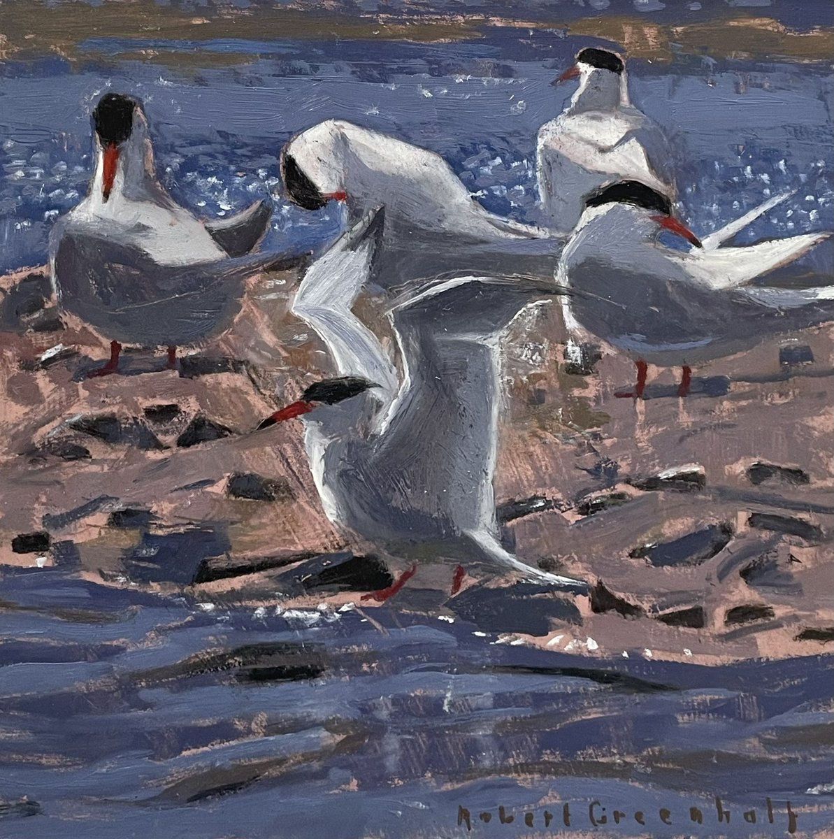 ryeartists's tweet photo. A beautiful selection bird paintings in oil hang in our upper gallery in our Summer Exhibition. These are by RSA member Robert Greenhalf. From Moorhens to Herons, Terns to Cormorants.
#ryeartists #robertgreenhalf #birdpainting https://t.co/2hwyqzPfSl