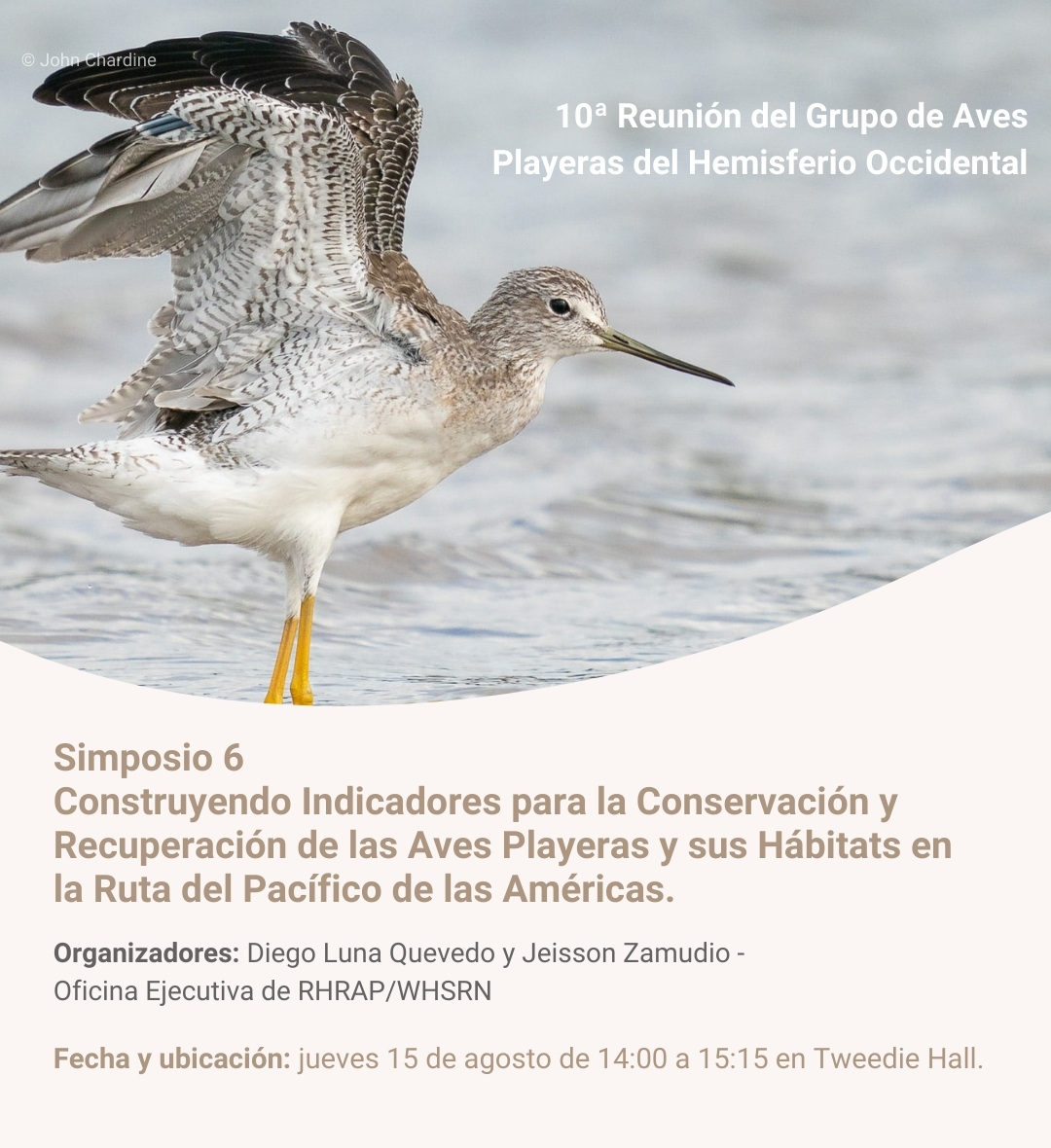 avesplayeras's tweet photo. Si estás participando de @WHSG2024 no te pierdas este Simposio organizado por @diegolunaq &amp; @jeissonzamudio de @ManometCenter. Se parte de la discusión sobre indicadores de impacto para conservación de aves playeras. Registro en https://t.co/OLCZSVH7v1 #avesplayeras https://t.co/FqQ4Jb5TUh