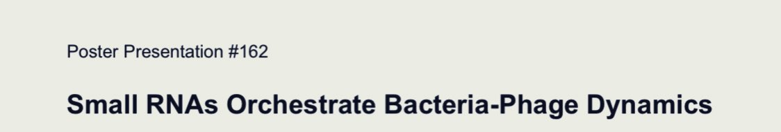 Come and see our work on the roles of small RNAs during phage infection. P162!
I will present today the work of my talented students: Aviezer, Raneem, and Reut!
#phages
<a href="/UWMadison/">UW–Madison</a>