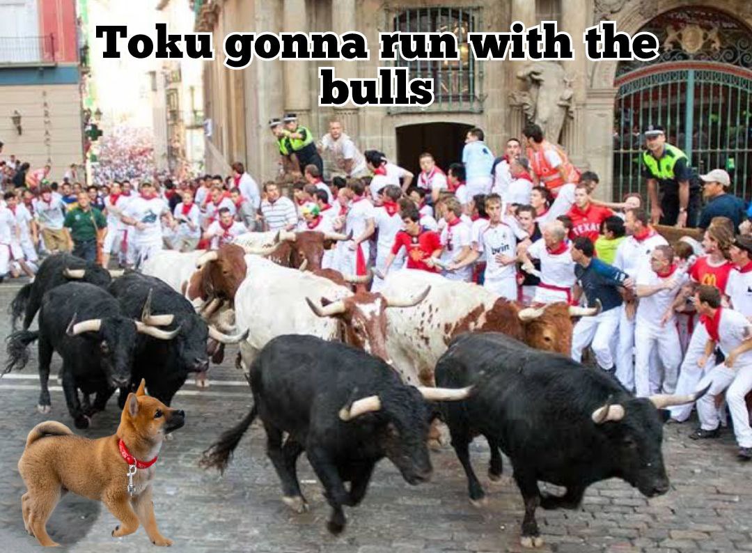 eth_hir0shi's tweet photo. @adabelguerrero $TOKU held like a champ while the market was down 👑🐕
First token launched by a dog dev
A token with a physical mascot who just went to ETH Argentina
A solid community and big team behind this one

@TokuCommunity 

https://t.co/wRwZ3sZxPh https://t.co/nhezskgutk