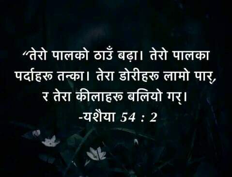 Prakash87005656's tweet photo. https://t.co/HTK3XSBbNL