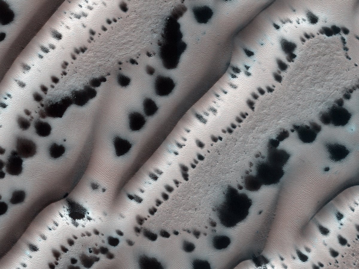 Qu’est ceci ?

Que sommes-nous en train de regarder ici ? En couleur améliorée, nous pouvons voir que la surface est couverte d’ondulations et que certains des points noirs ont des halos brillants autour d’eux.

uahirise.org/hipod/fr/ESP_0…
NASA/JPL-Caltech/University of Arizona