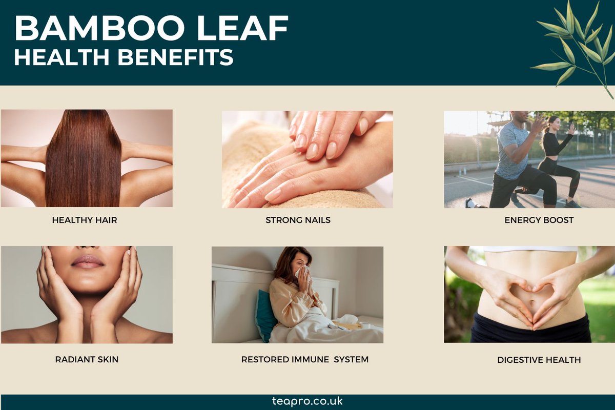 TeaProUK's tweet image. Unlock the power of bamboo leaf tea with these 6 incredible benefits!
Explore the science behind each benefit on our blog now: teapro.co.uk/bamboo-leaf-te…
#teapro #teahealthbenefits #universitea #bambooleaftea