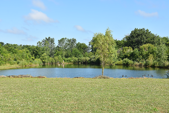 Help name the new PARK at 624 Berlin Road!
Plan a visit, stroll the property, explore the surroundings, catch &amp; release a fish, let your creativity run free! Taking submissions through September 1, 2024. Click the link at the bottom of our home page:  cityofhuron.org