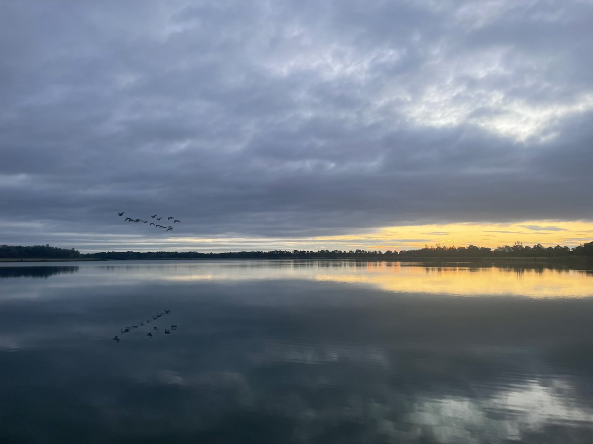 mostlyherenow's tweet photo. Getting up early to catch the light! Beautiful sunrise at Anglers country park 🙏 #walton #sunriseseeker #thelight #Anglers https://t.co/rIEd0OooqF