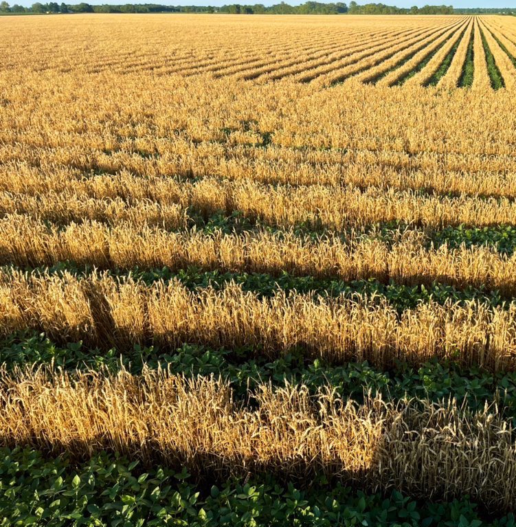 Jason Mauck tweet media