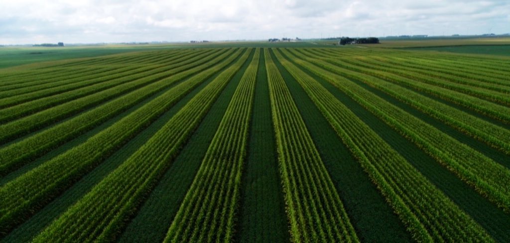 Jason Mauck tweet media