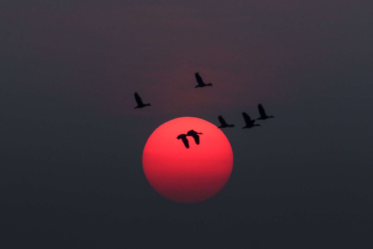 یادمان رفته با خودمان چند چندیم