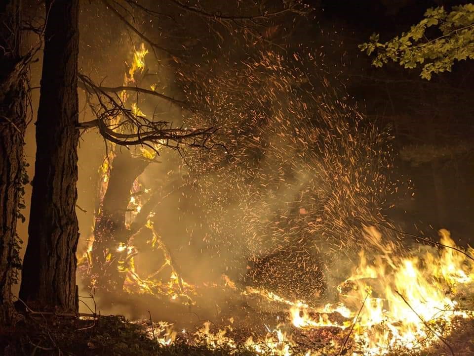 ExmoorNP's tweet photo. When visiting our National Park...
π₯No open fires in the countryside
π₯Enjoy a picnic; leave the BBQ at home
Take home what you bring
π₯Spot a fire? Call 999
Spot a fire risk? Call #FireStoppers 0800 169 5558
#exmoor #exmoornationalpark #FireSafety
Photo @DSFireUpdates https://t.co/nfDHboXyE3