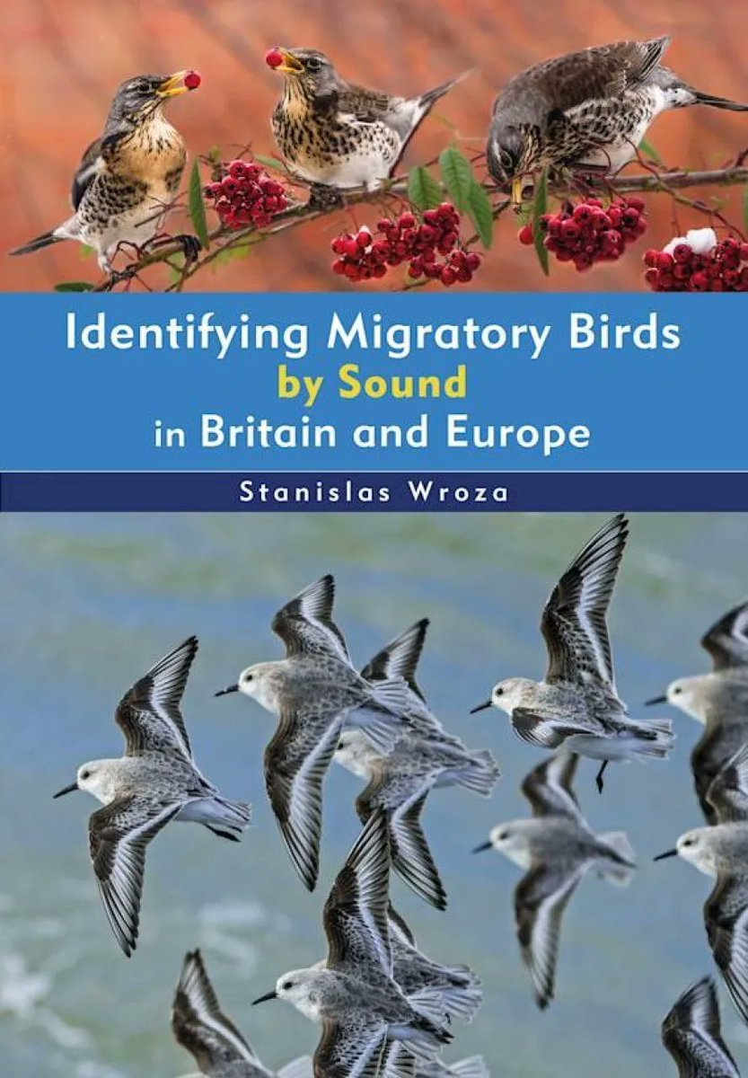RareBirdAlertUK's tweet photo. Our #BookOfThe week from @sounds_wild is...
Identifying Migratory Birds by Sound in Britain and Europe.
SPECIAL OFFER only £18.99! (rrp £25)
Get it here https://t.co/ecqaYHOYbR
And quote RBABOTW so we can donate 5% to conservation https://t.co/RnKbLEmBXo