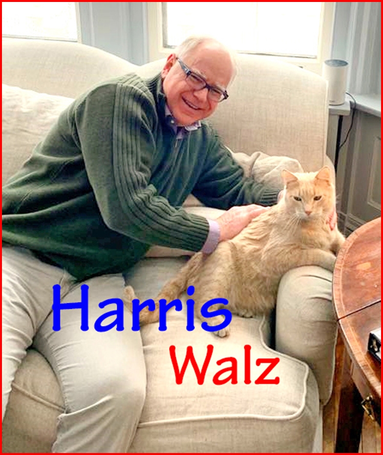 Lorenzo The Cat on X: “It’s my man, Tim Walz! I’m so happy. Go 