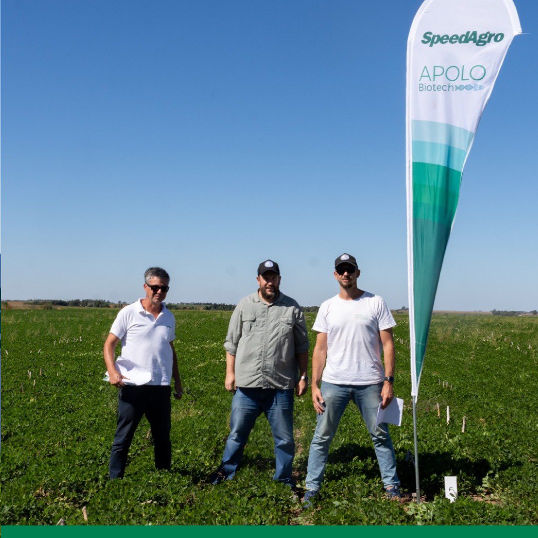 apolo_biotech's tweet photo. 🌿 Ensayos a campo – control de Viruela del maní, 𝘊𝘦𝘳𝘤𝘰𝘴𝘱𝘰𝘳𝘢, realizados en Río Cuarto, en conjunto con @speedagro y bajo la dirección del ingeniero @Morlafede https://t.co/9lPuOZKugC