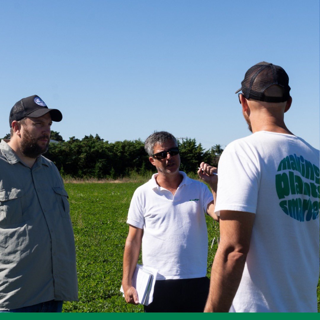 apolo_biotech's tweet photo. 🌿 Ensayos a campo – control de Viruela del maní, 𝘊𝘦𝘳𝘤𝘰𝘴𝘱𝘰𝘳𝘢, realizados en Río Cuarto, en conjunto con @speedagro y bajo la dirección del ingeniero @Morlafede https://t.co/9lPuOZKugC