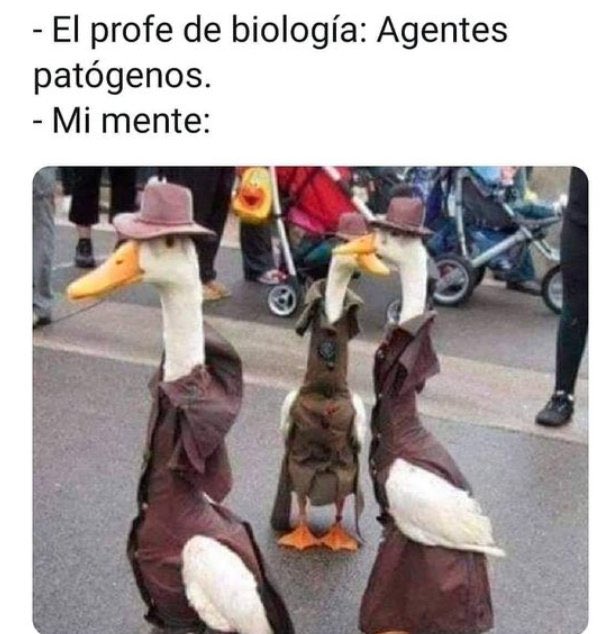 Pablo Serrano tweet media