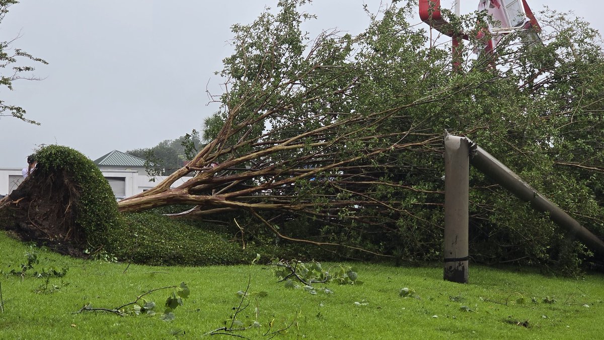 nikkigaskins's tweet photo. Some of the damage I woke up to this morning in Moncks Corner. The rain is coming down pretty hard this morning still. (1 of 2) #chswx  #berkeleycountysc #chsnews #Debby #DEBBY2024 https://t.co/VXaQCm5fAx