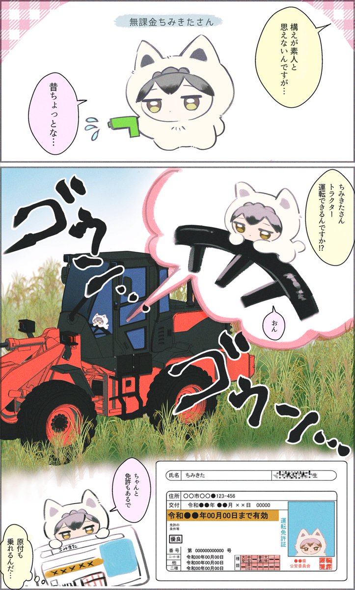 多彩なちみきたさん
履歴書の欄ぎっちりになるそうです

(ちみきたさん夢) 