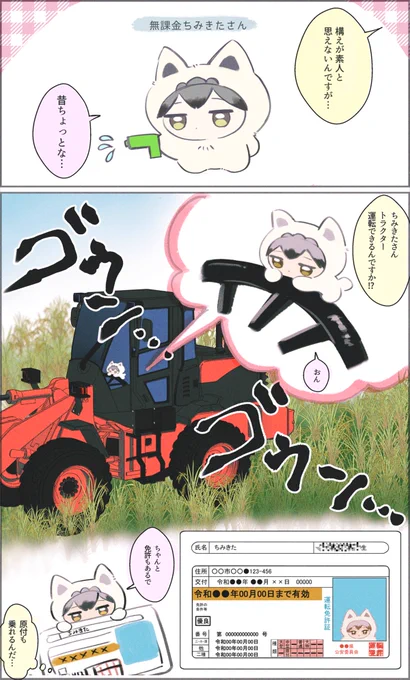 多彩なちみきたさん
履歴書の欄ぎっちりになるそうです

(ちみきたさん夢) 