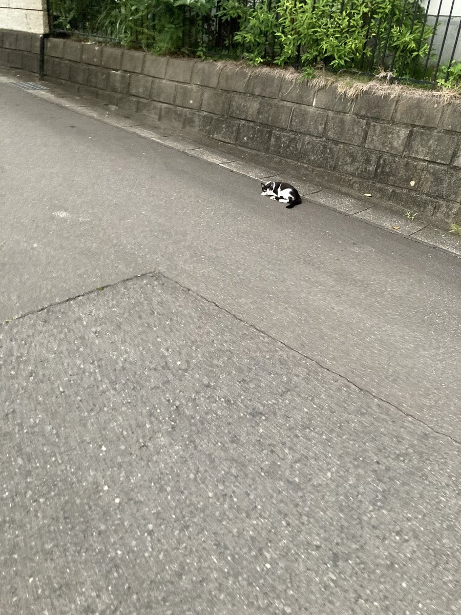 ksatto43's tweet photo. 週初でも、週末でも、週央でもない。
ありふれた７日（なのか）暮らしに
スパイシーな変拍子を

#4tracksradio !

（注）#ホテルニュー越谷 風に考えてみた
＃SNAKEMANSHOW https://t.co/UsxrHF10JN