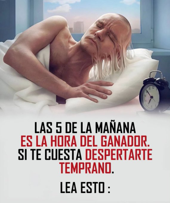 Alexander Inspira IA tweet media