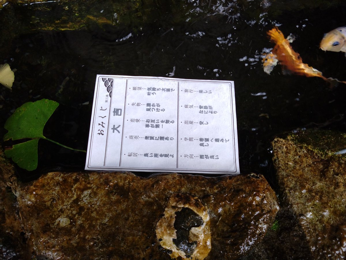 d_lec4a's tweet photo. 占いしてきた🤭
今は何かにすがりたい気分になってる😅
結果は…やっぱり今は辛抱の時みたい😅暫くは耐える時期が続くと😅
なんとなくそう思っていたから答え合わせが出来た感じ😁
やっぱりゆぅの人生波乱続き😅

あっでも貴船神社に行った時水みくじで大吉出たからそれを励みに頑張ろうっと😁🤭🤭 https://t.co/vJQS3AiWoe