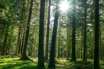 The Labour Government’s mission-led approach promises national renewal through economic growth, clean energy and devolution. Christopher Hammond <a href="/UK100_/">UK100</a>  says input from #localgov can help this transformation happen

 themj.co.uk/clean-green-se… via <a href="/themjcouk/">The MJ</a>