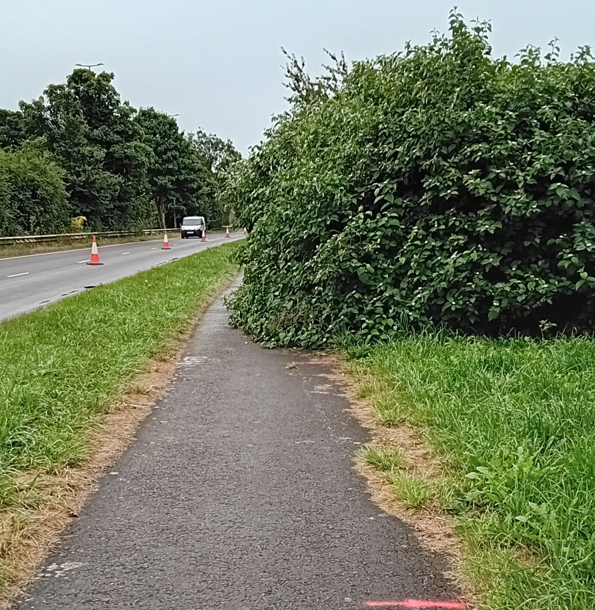 Woodstock Cyclist tweet media