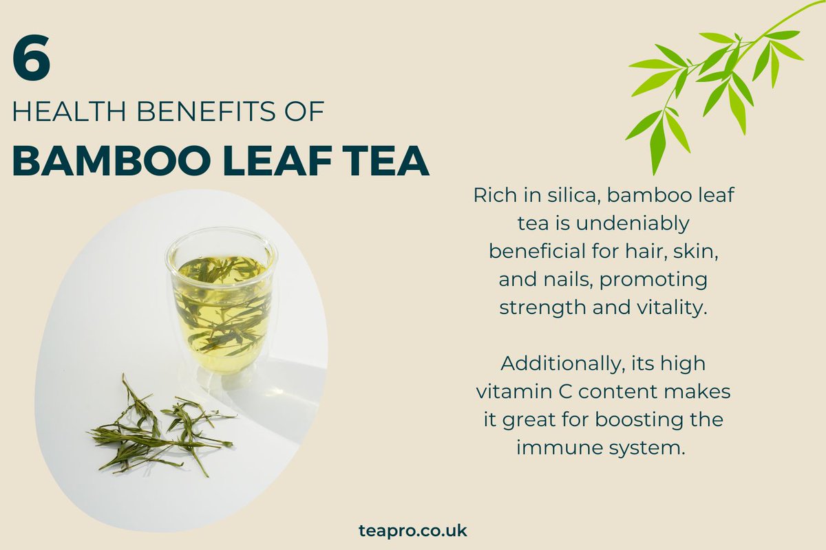 TeaProUK's tweet image. Discover 6 fascinating bamboo leaf tea health benefits!
From supercharging your immune system to a silica-powered beauty boost, this tea has it all.

Explore the science behind each benefit now in our blog: teapro.co.uk/bamboo-leaf-te…
#teapro #universitea #teahealth #bambooleaftea