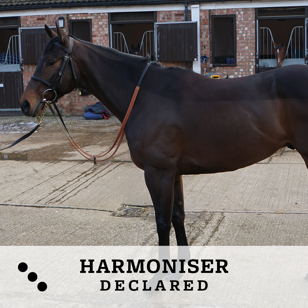 eliteracingclub's tweet photo. Harmoniser heads to Kempton today for his second racecourse appearance. At 6.25, he will run in the novice stakes under Jack Mitchell and for trainer Roger Varian. Good luck! 🤞🏇 #EliteRacingClub #Harmoniser https://t.co/7dYgfGcpQW