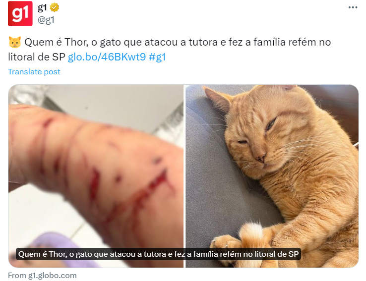 Pedro Henrique Tunes tweet media