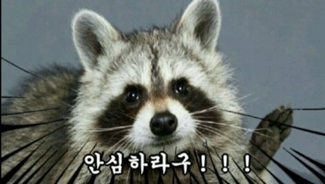 Cheering_ChoCo's tweet image. 충성! 비트맥시 엑스 친구 여러분께 보고 드립니다!

아래의 행사날(9/1-9/7)에 전국 팔도강산의 쉿코이너들 서울에 다 모일 예정입니다

업무에 참고하시기 바랍니다!!

초코는 안전한 집에 있을 예정이니 걱정말라구!