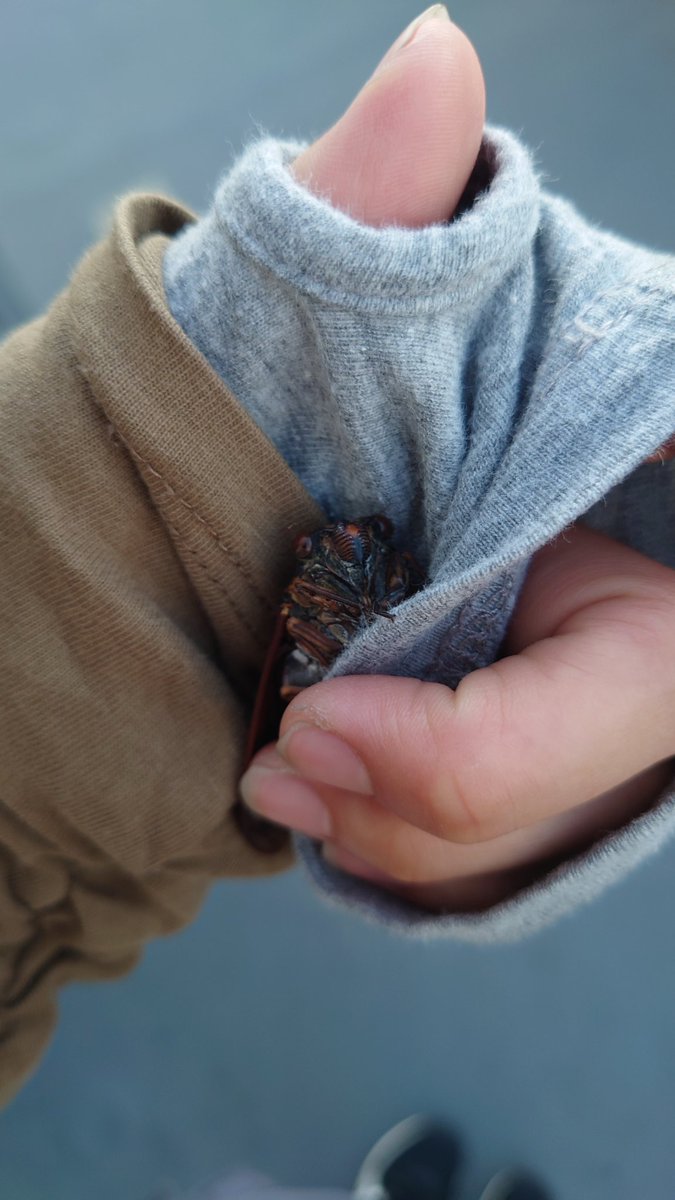turbo_bug's tweet photo. ぎゅっ
ぎゅっ
かわいいね https://t.co/KvTndarG9s