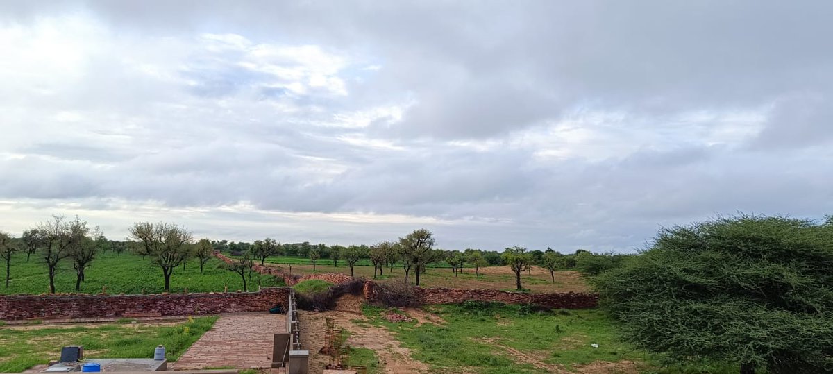 atish_asopa's tweet photo. #TREEPOWER
#GREENERY
#PLANTPOWER
#GoodmorningtTwitterWorld
#GoodNightTwitterWorld
#GoodMorningXFriends https://t.co/FlPEnu1Ec8