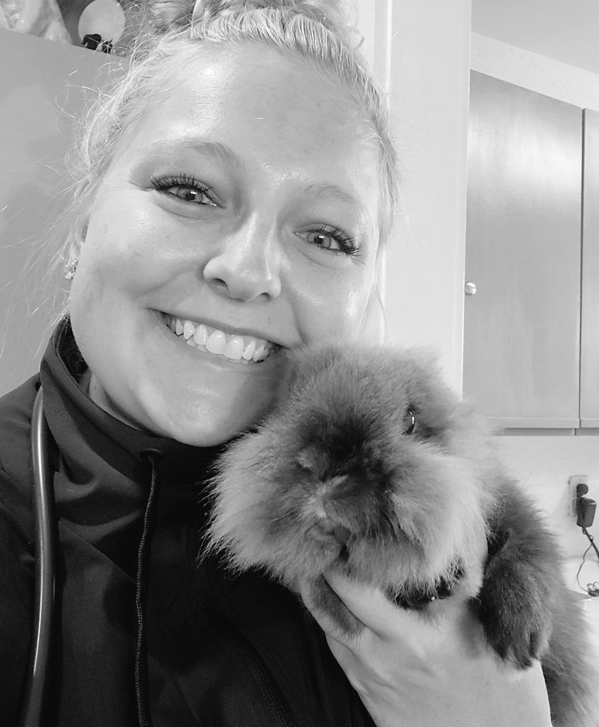DrNicoleArcy's tweet photo. I carrot believe how cute this bunny is!

#bunnypuns #bunniesofX #veterinarian #healthyboy #vetmed #exoticpets #puns #rabbit https://t.co/fkjZpEVq3Q