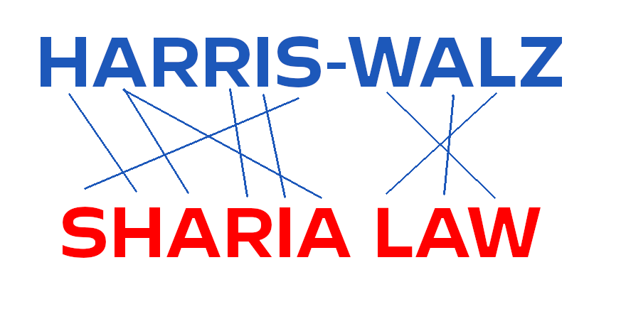 computer_gay's tweet image. woah