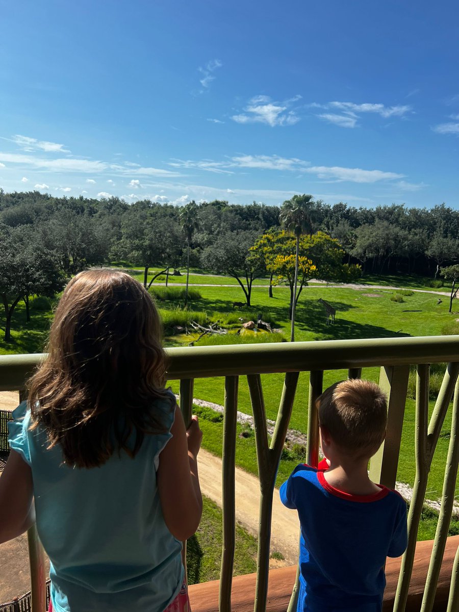 OrlandoMag's tweet image. From the exquisite lobby to the incredible views from our room, we were enchanted by the majestic animals we saw. The Mickey waffles were pretty good too. #AKL #notsponsored