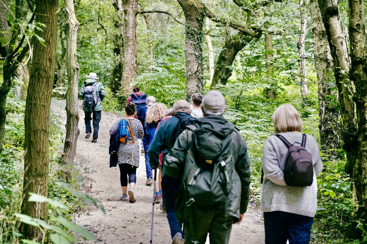 The Outdoor City tweet media