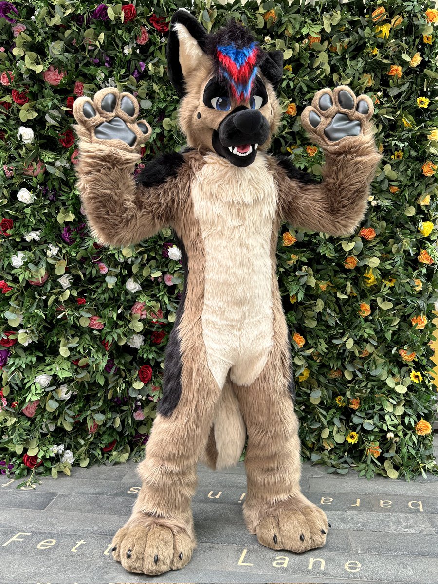 Echo Shep 🌈 tweet media