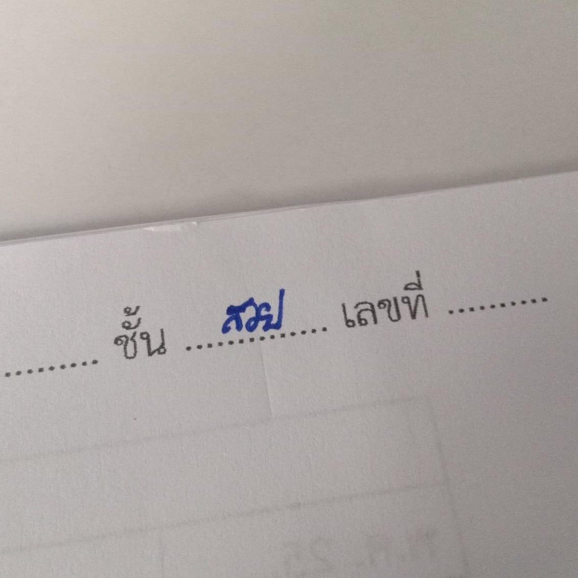 หมีไข่ 🐻 tweet media