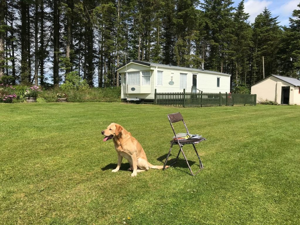 aroundaboutbrit's tweet image. 🌞 Situated 600 feet above sea level on a gentle southeast-facing slope, East Balthangie enjoys sunshine for most of the day and is beautifully sheltered by trees on the northern side.

🏕 Campsite 
aroundaboutbritain.co.uk/Aberdeenshire/… 

#CampingLife #MotorhomeAdventures #FamilyCamping #Pets