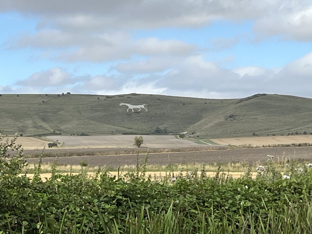 TerryWalking's tweet photo. Great walk on the Pewsey Downs and Kennet and Avon Canal yesterday. The White Horse and the canal barges.Long barrows and long barges all in one day! https://t.co/sbxKBtZhJx