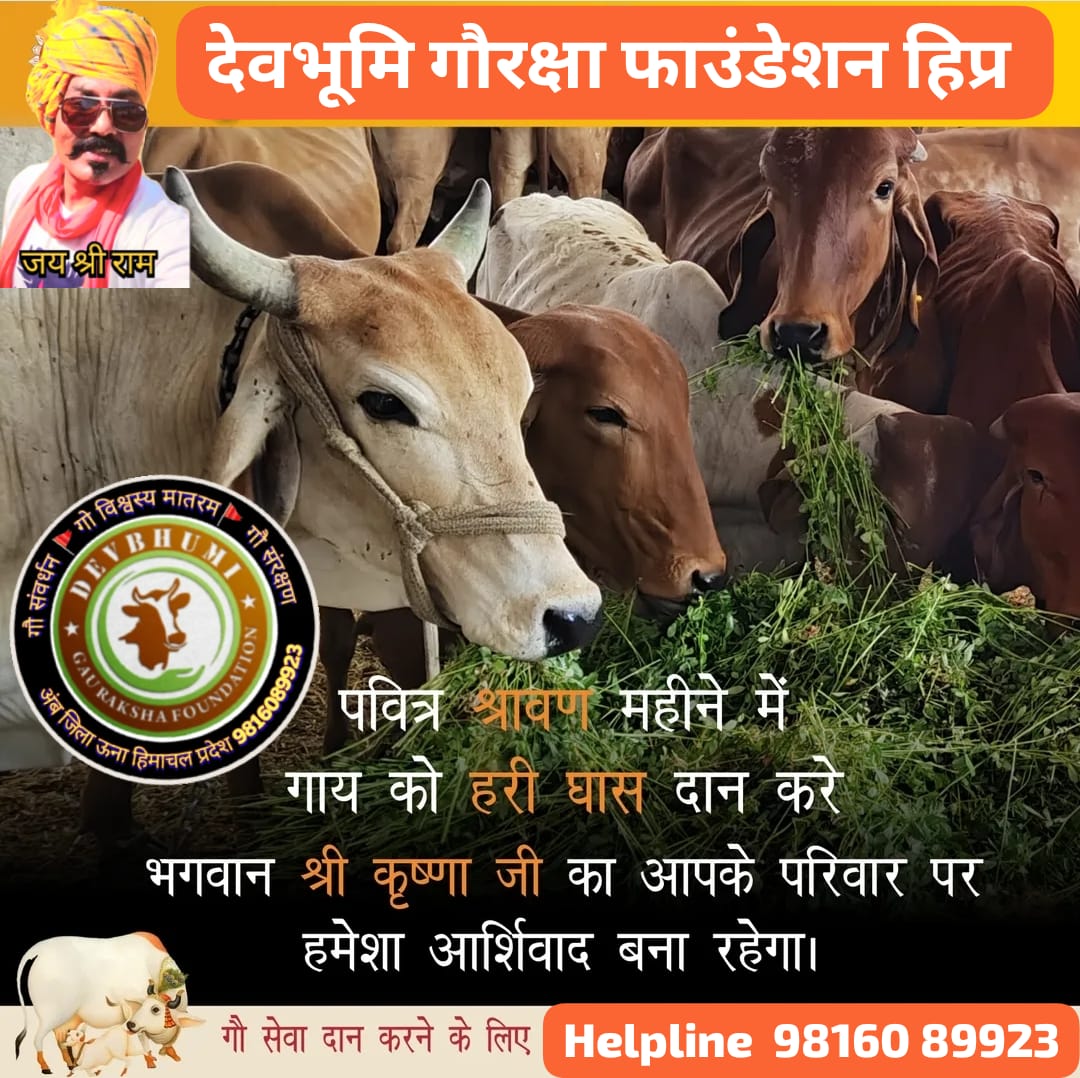 sanjeev65473608's tweet photo. गौ सेवा का लक्ष्य सजाकर 
मन में इक विश्वास जगाकर 
चलो निकलते हैं अब घर से 
हम अपनी इक टीम बनाकर
*Devbhumi Gouraksha Foundation (Regd.)*
Punjab &amp; Sindh bank Amb Distt- Una HP
*AcNo-01371000019619* 
*IFSC- PSIB0000137*
*Helpline- 98160 89923* https://t.co/uSn9cb2jBI