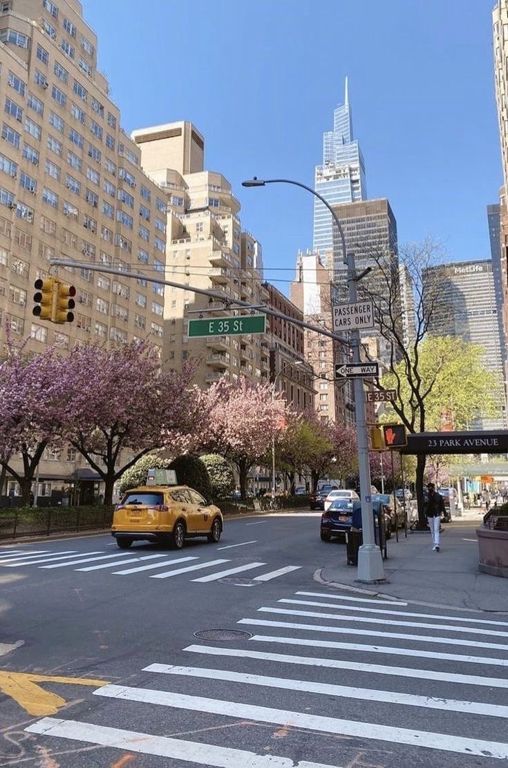 ShiroNoOne's tweet photo. Life in new york 🗽🌿 https://t.co/zAGmpFNHOZ