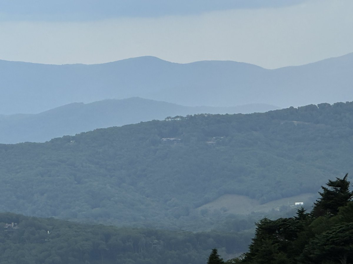 David Widener tweet media