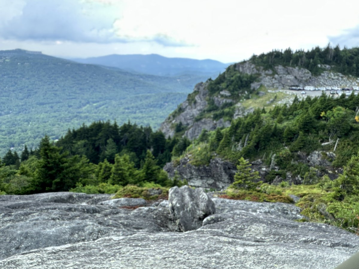 David Widener tweet media