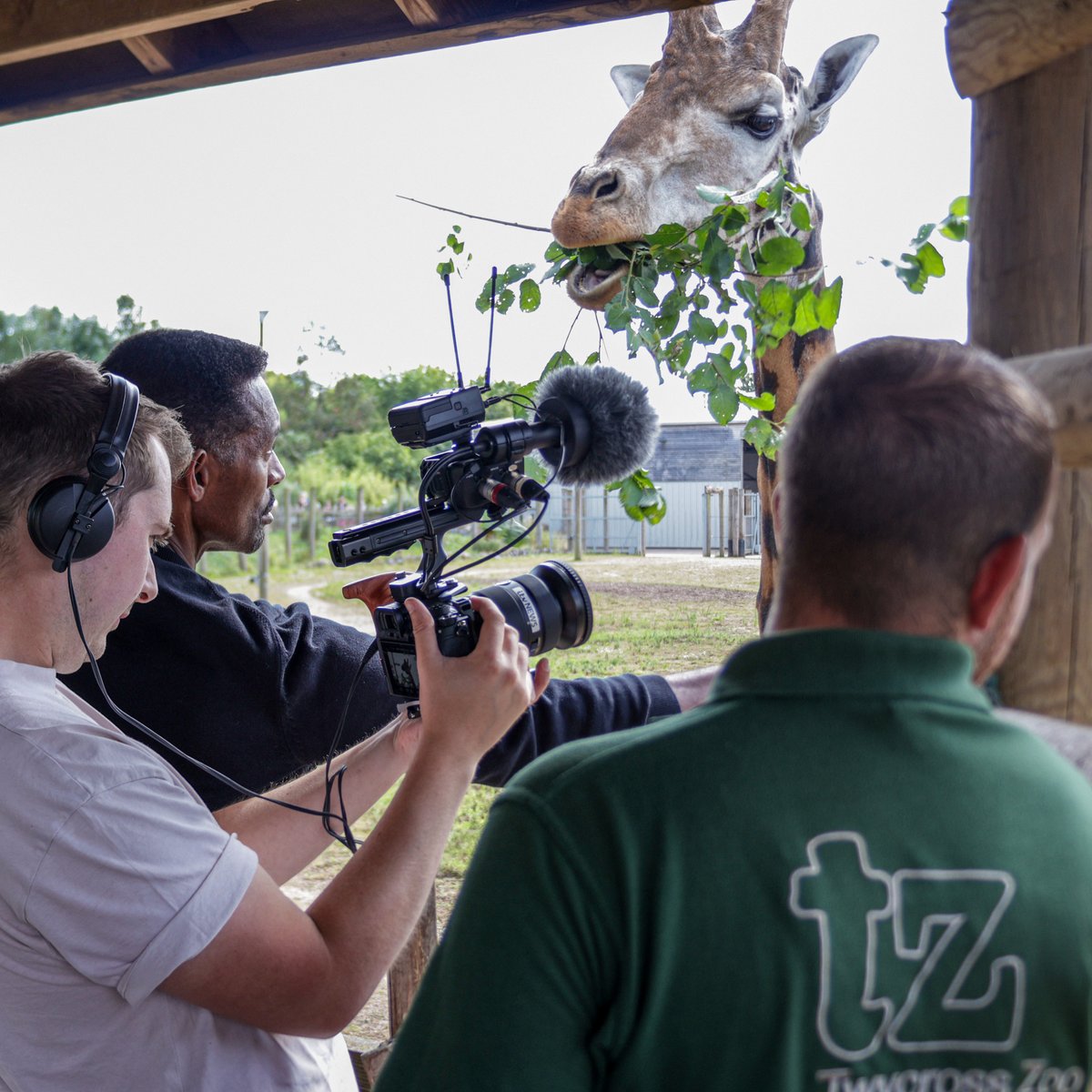 TwycrossZoo's tweet photo. TUNE IN LIVE from Twycross Zoo as Des Coleman presents the weather and shares more about his fantastic day out at the zoo ☀️🎥🦒

📺 6pm 👉 @ITVCentral https://t.co/nhtQBdvQD9