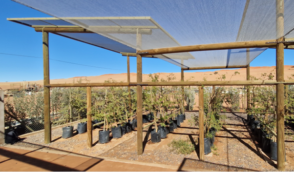 🐠#aquaponics
l.facebook.com/l.php?u=https%…