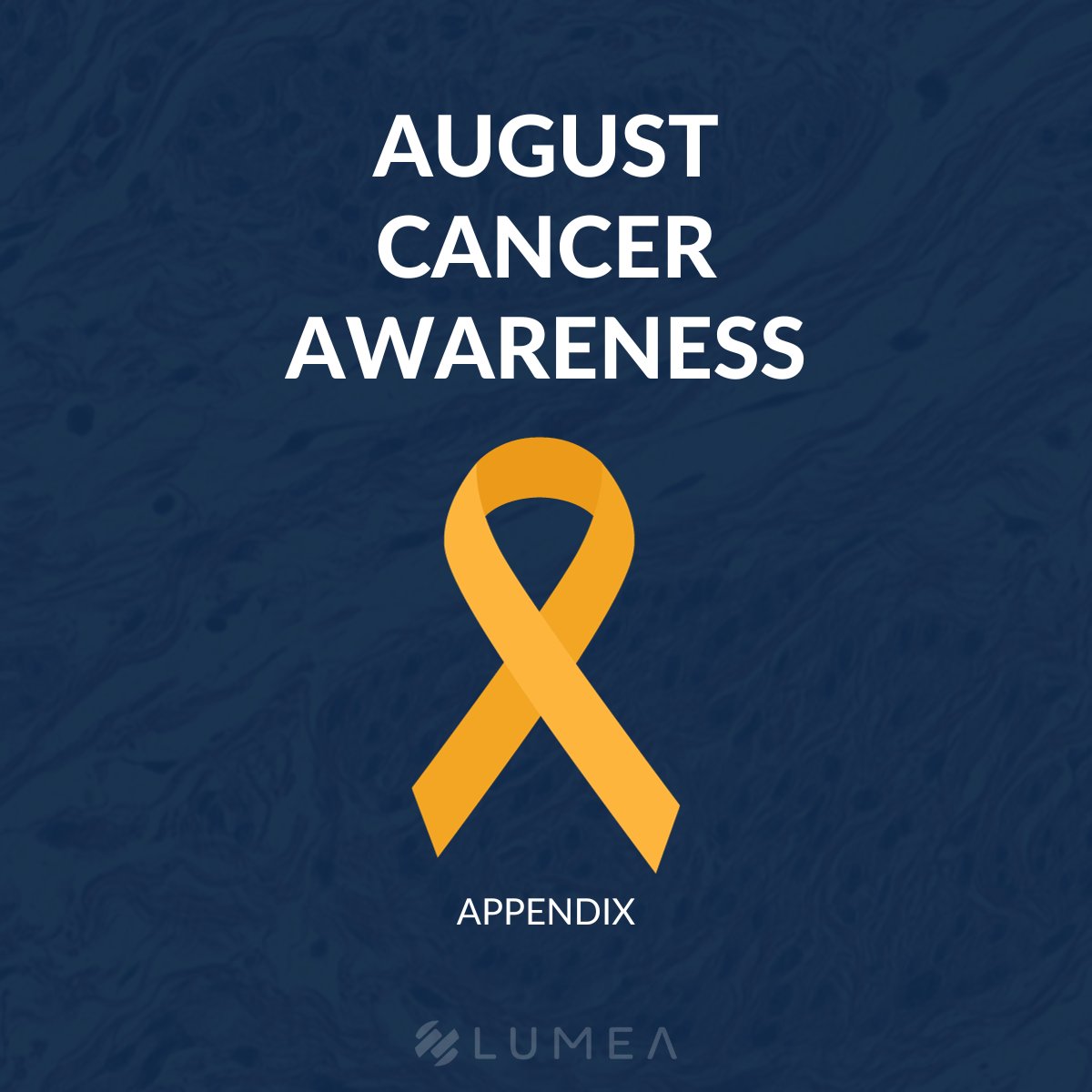 LumeaDigital's tweet image. August is appendix cancer awareness month! Let&apos;s join hands to raise awareness, share information, and support those affected by this often-overlooked form of cancer. Together, we can bring more visibility to appendix cancer.

#AppendixCancerAwareness #AugustHealth