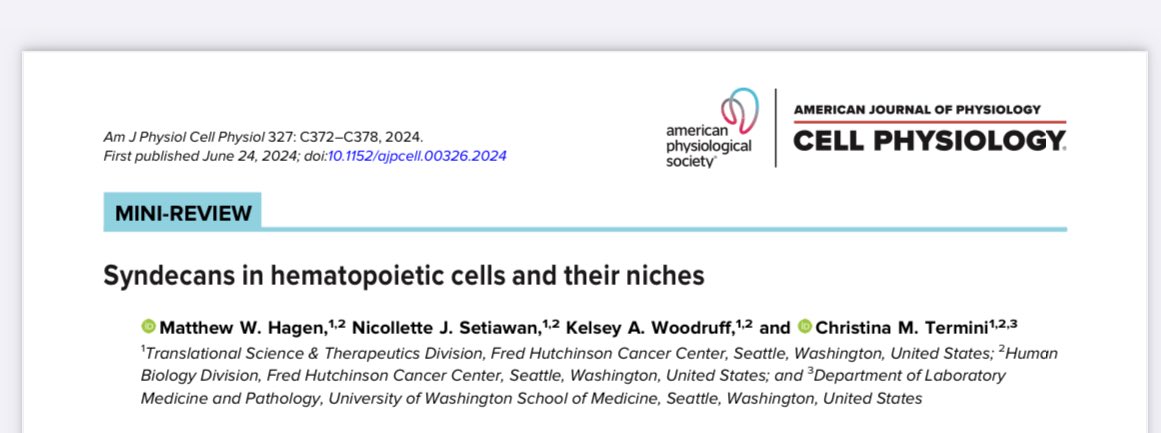 Tina Termini tweet media