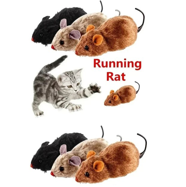 wesellanythingc's tweet photo. Lifelike Plush Mouse Toy Hilarious Running Rat for Cats And Dogs

Order Link:
https://t.co/28W3Y23q6p

#cat #kitten https://t.co/kwGApwQcOD